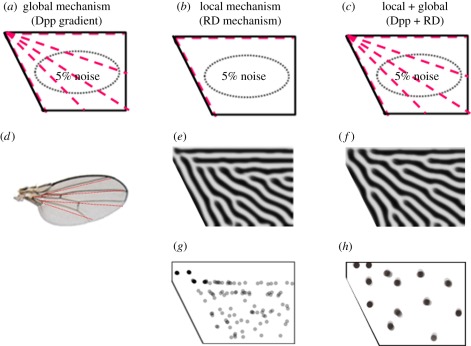 Figure 4.