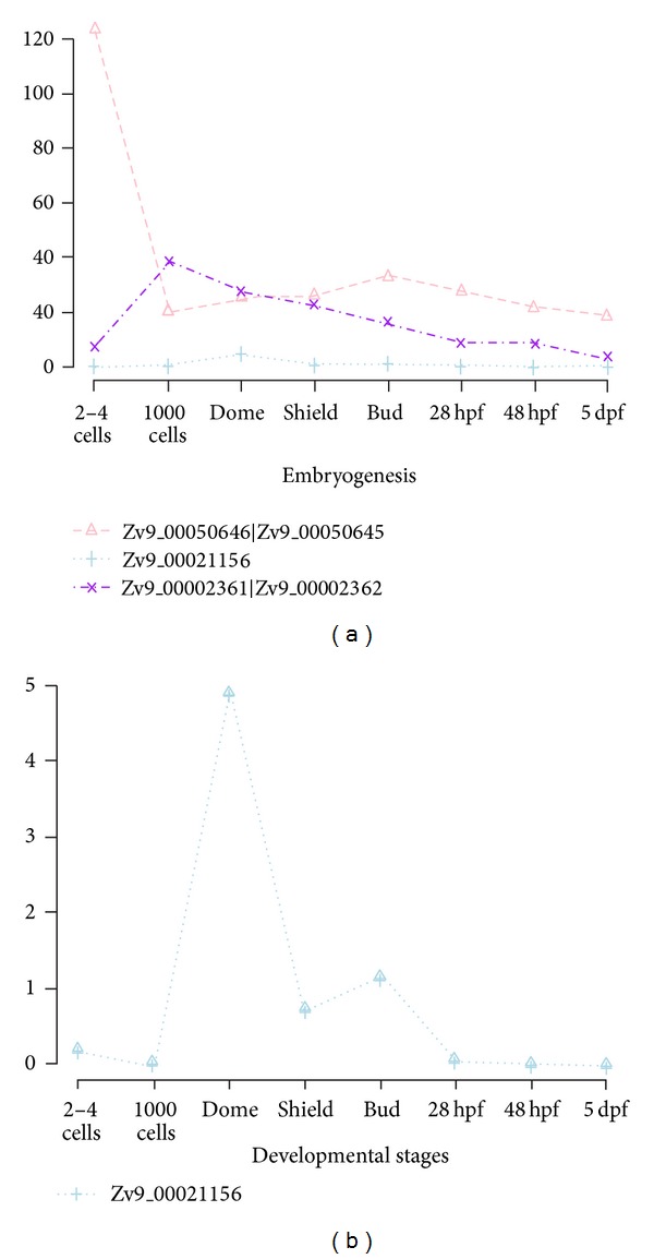 Figure 8