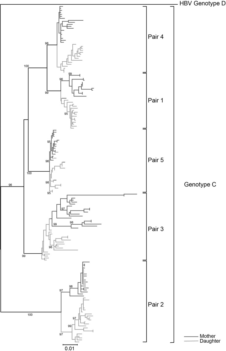 FIG 1