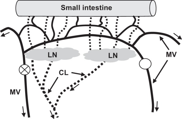 Fig. 1.