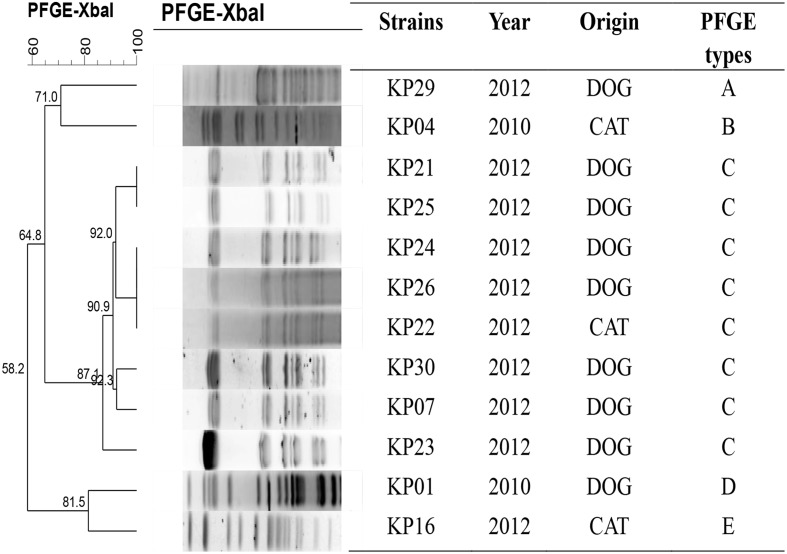 FIGURE 1