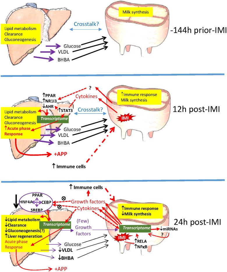 Fig 12