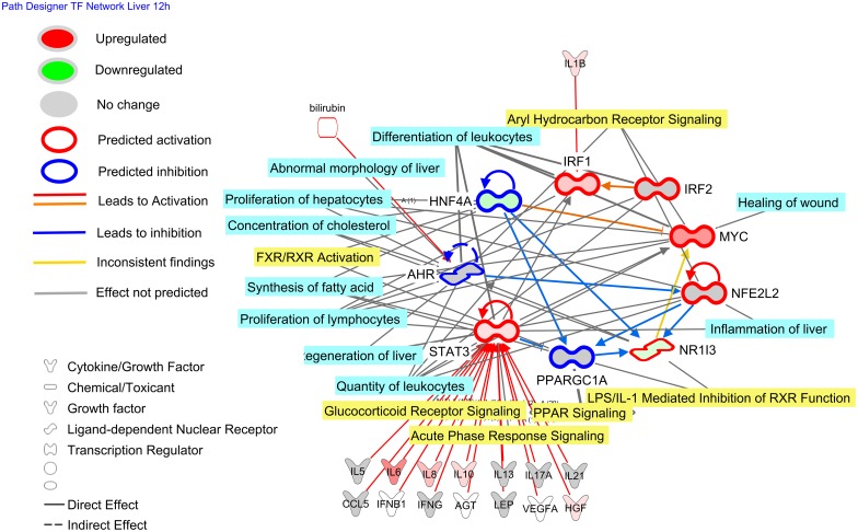 Fig 6