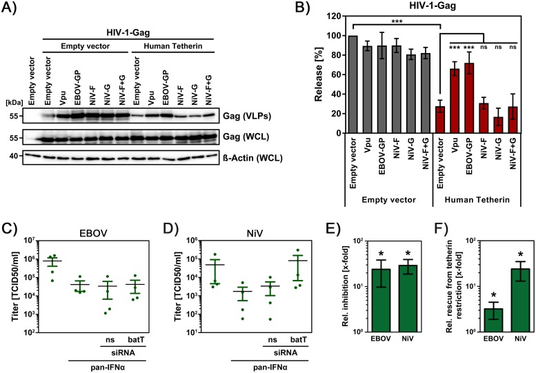 FIG 6