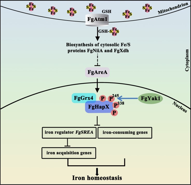 Fig 8