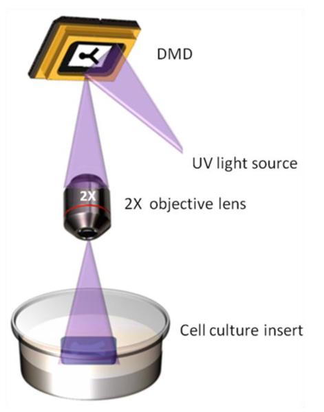 Fig. 2