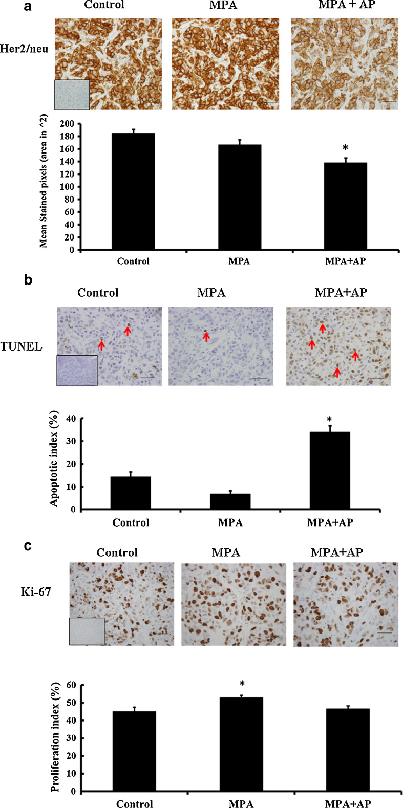 Fig. 4