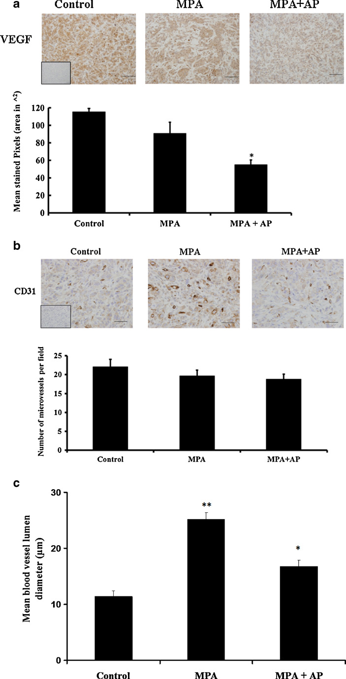 Fig. 6