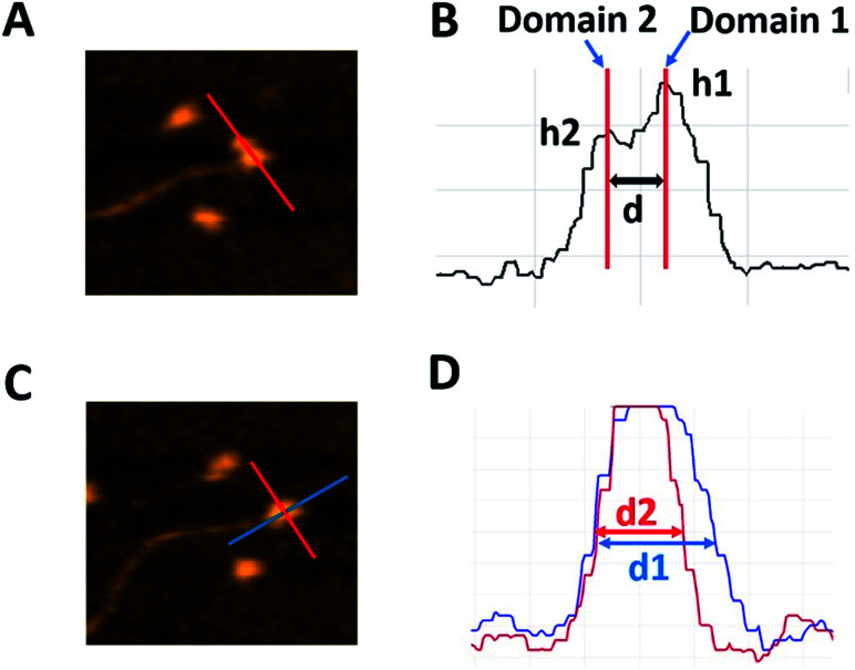 Fig. 2