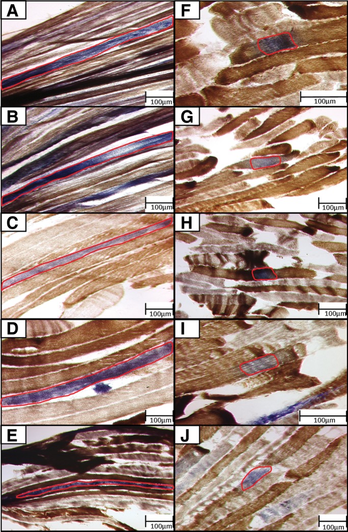 Figure 2.