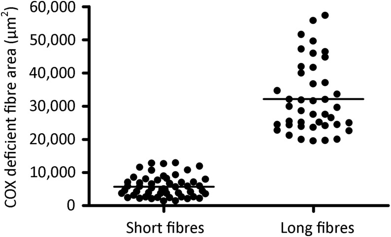 Figure 3.