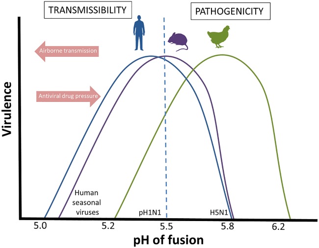 FIG 6