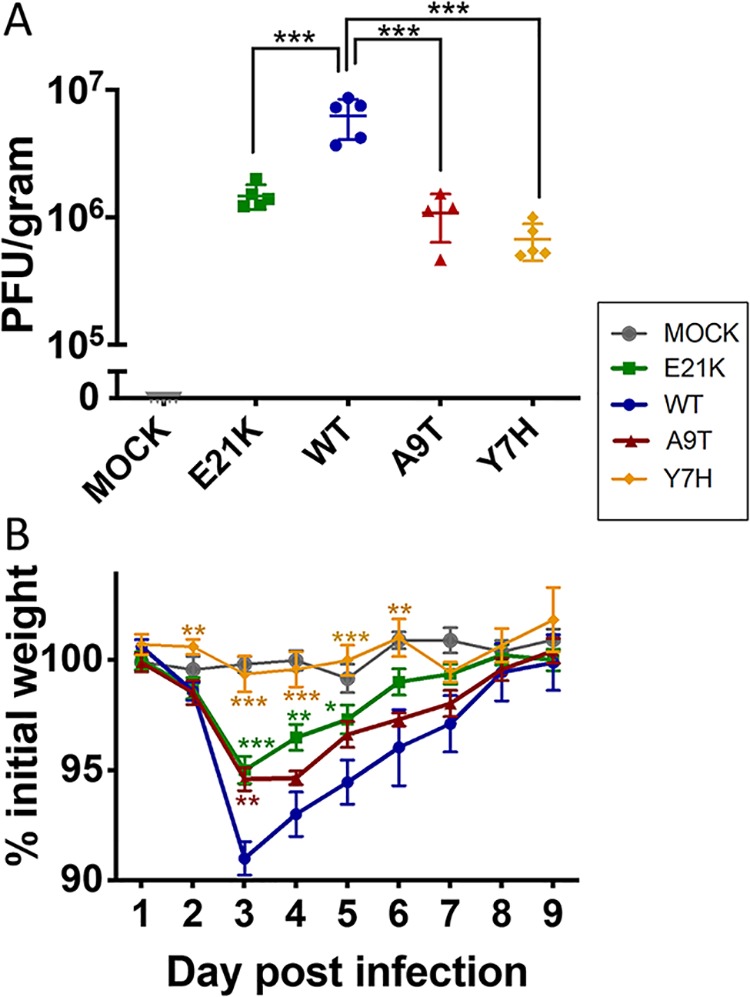 FIG 4