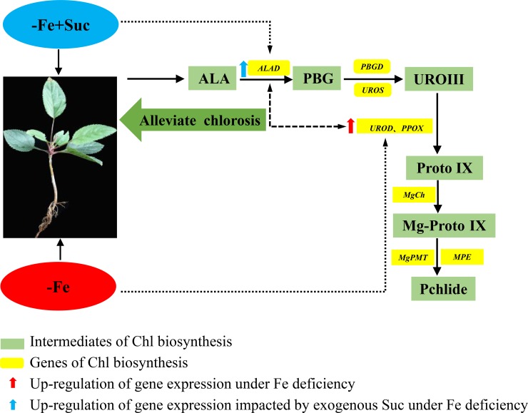 Fig 6