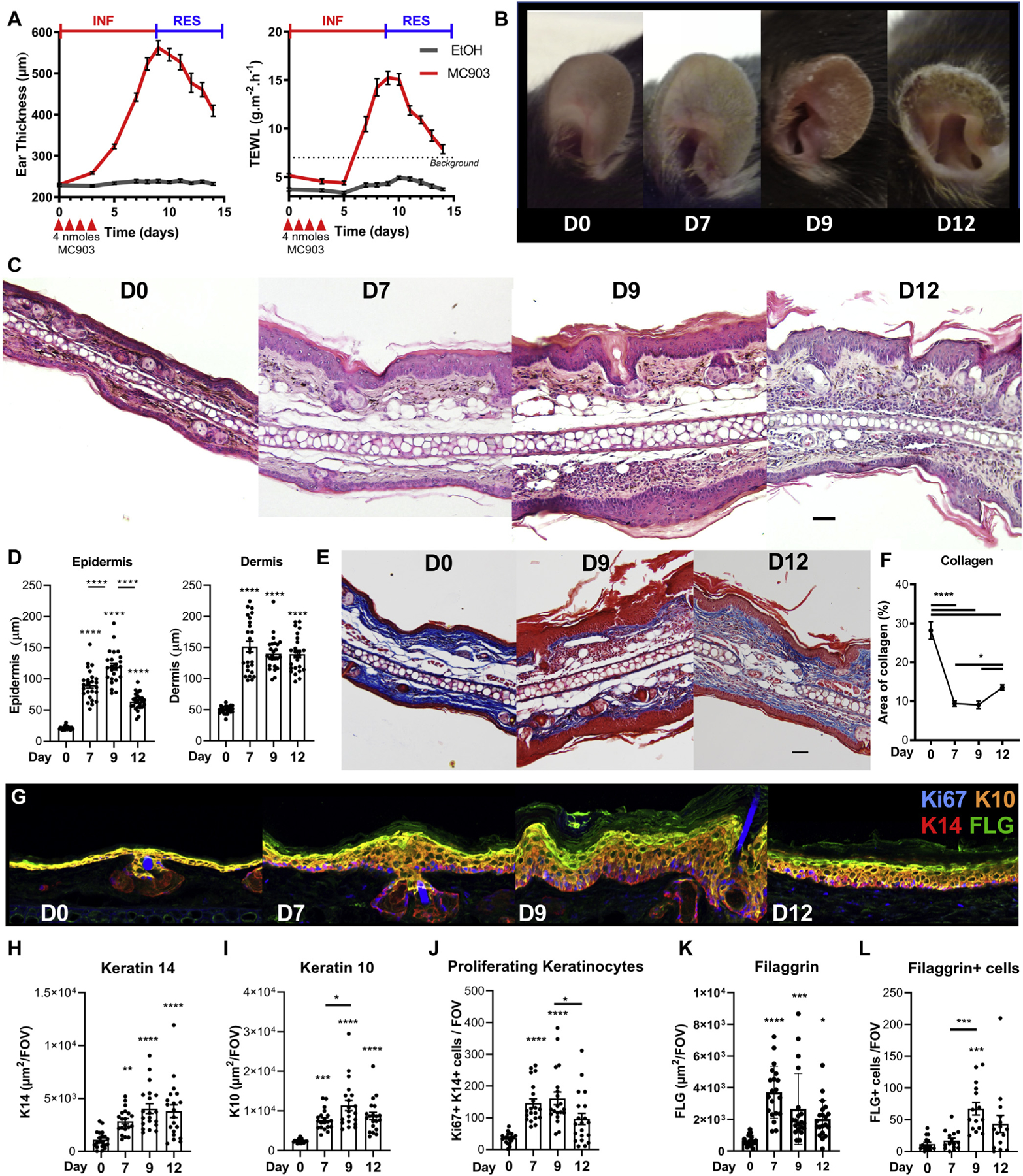 FIG 1.