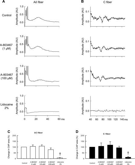 Fig. 9.