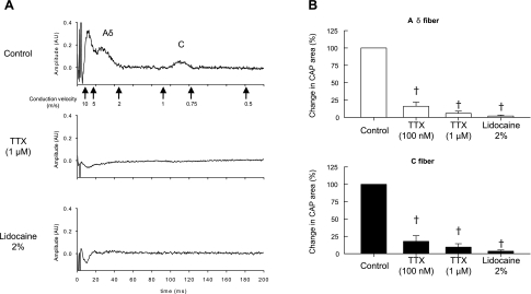 Fig. 8.