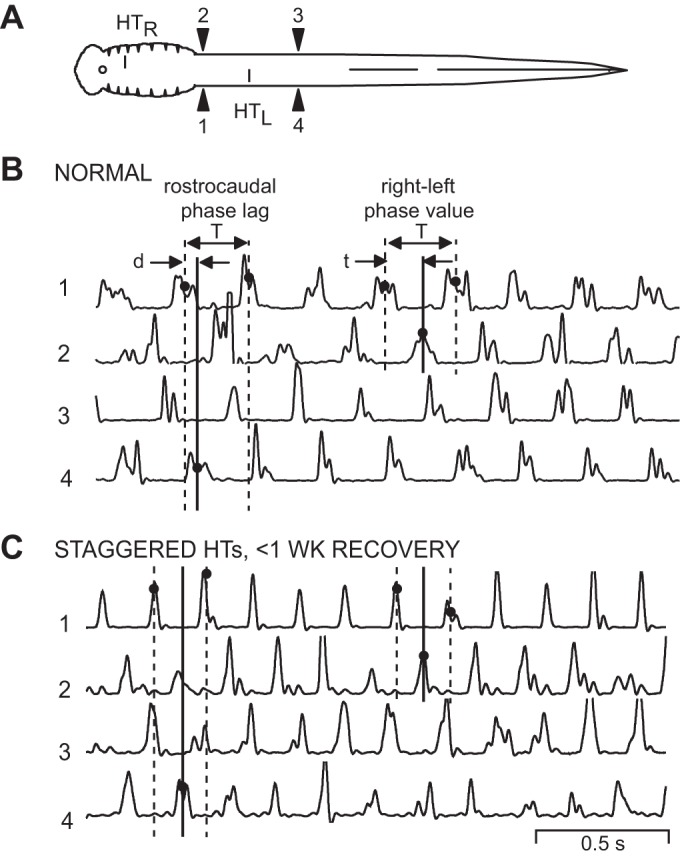 Fig. 2.