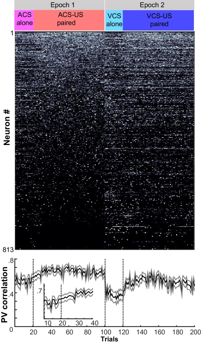 Figure 2—figure supplement 4.