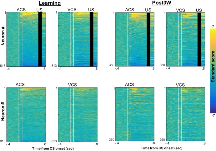 Figure 2—figure supplement 3.