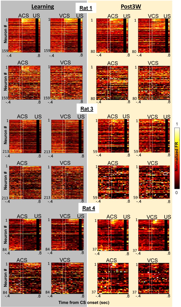 Figure 2—figure supplement 2.