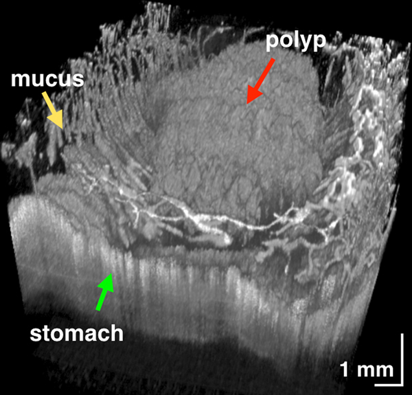 Figure 3.