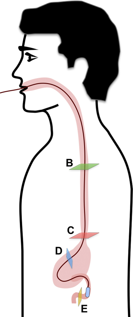 Figure 5.