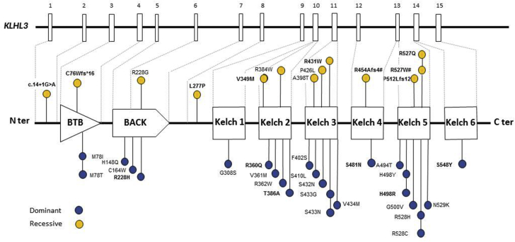 Figure 3