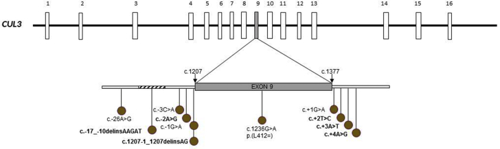 Figure 4