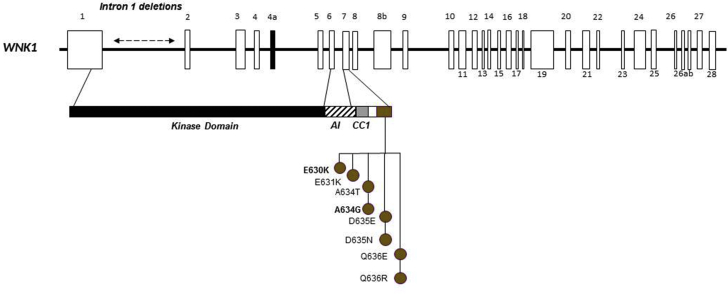 Figure 5