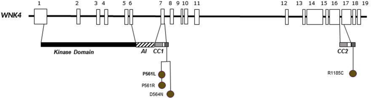 Figure 6