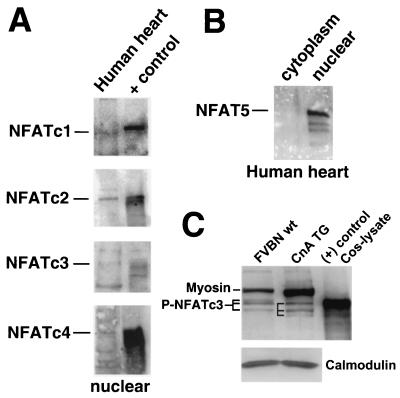 FIG. 8.