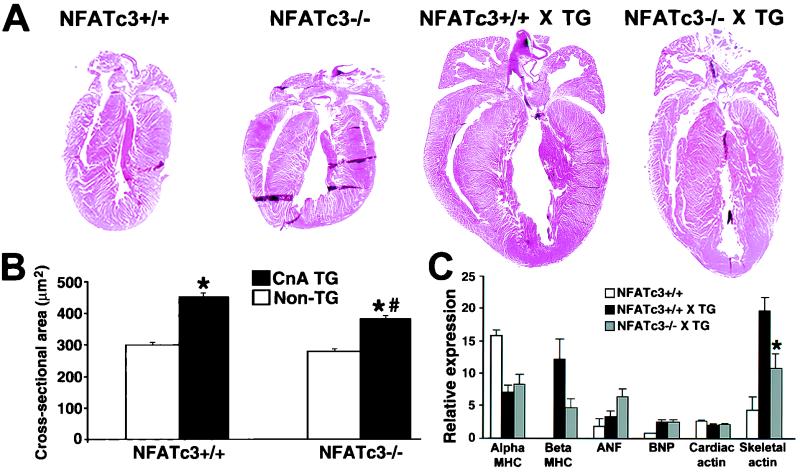 FIG. 5.