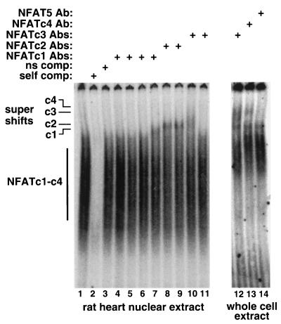 FIG. 9.