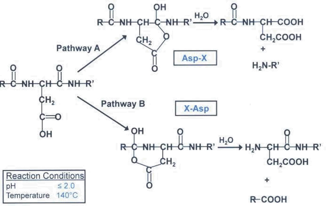 SCHEME III