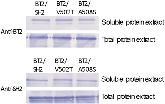 Figure 7.