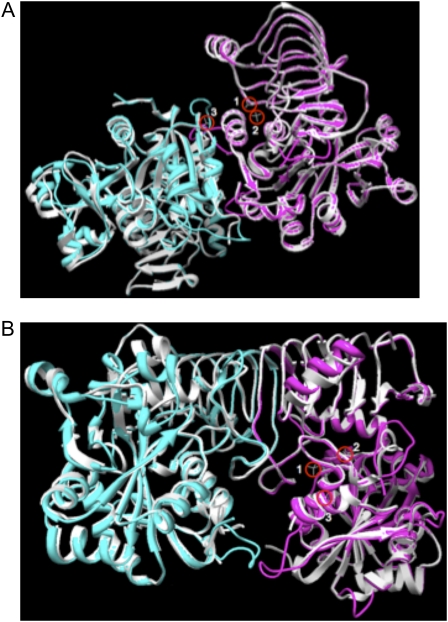 Figure 2.