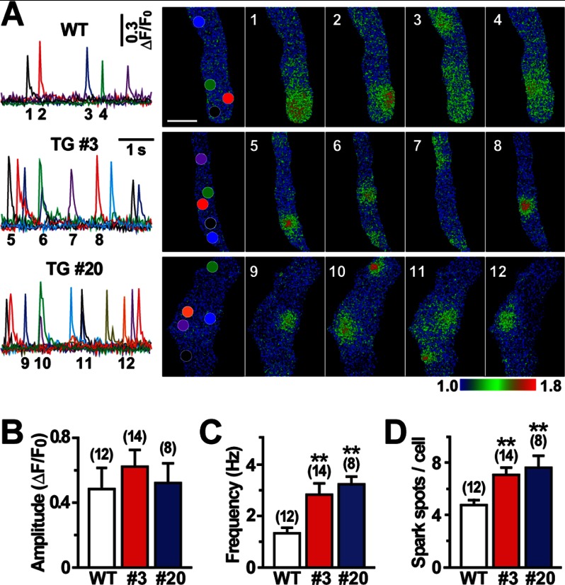 FIGURE 3.