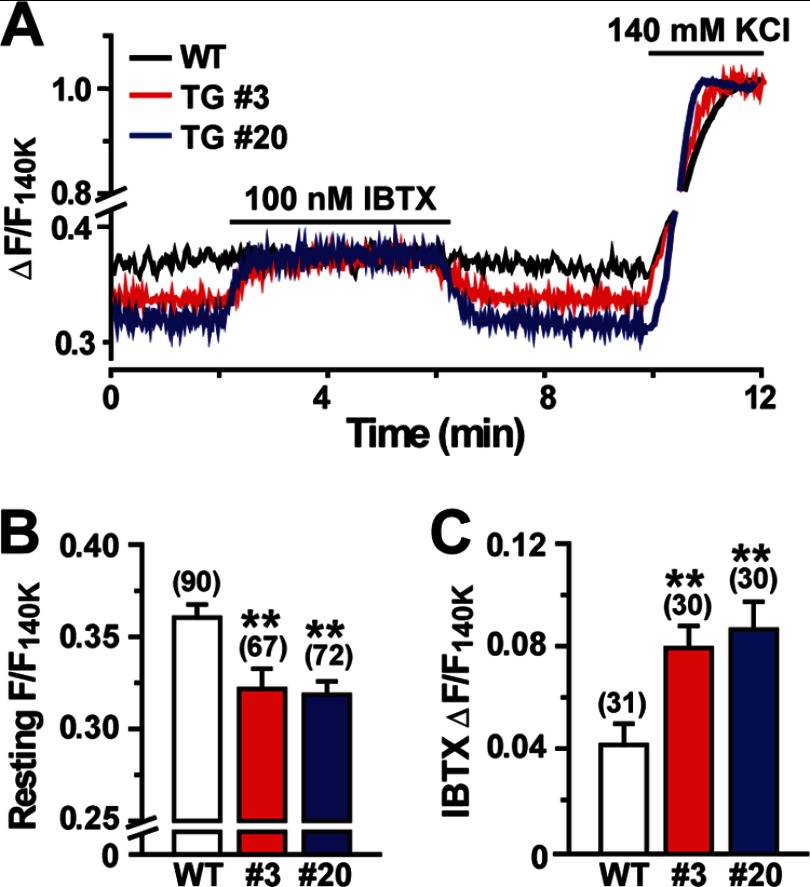 FIGURE 5.