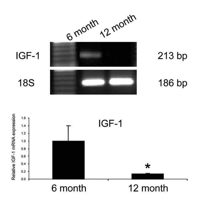 Figure 5.