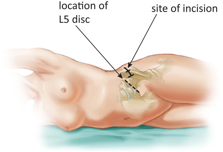 Figure 5.