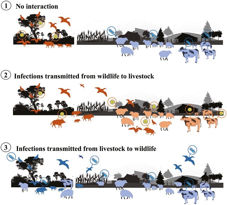 Figure 3.