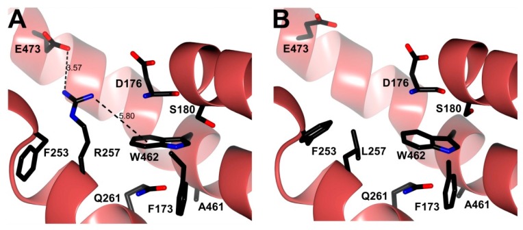 Figure 9