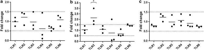 Fig. 3