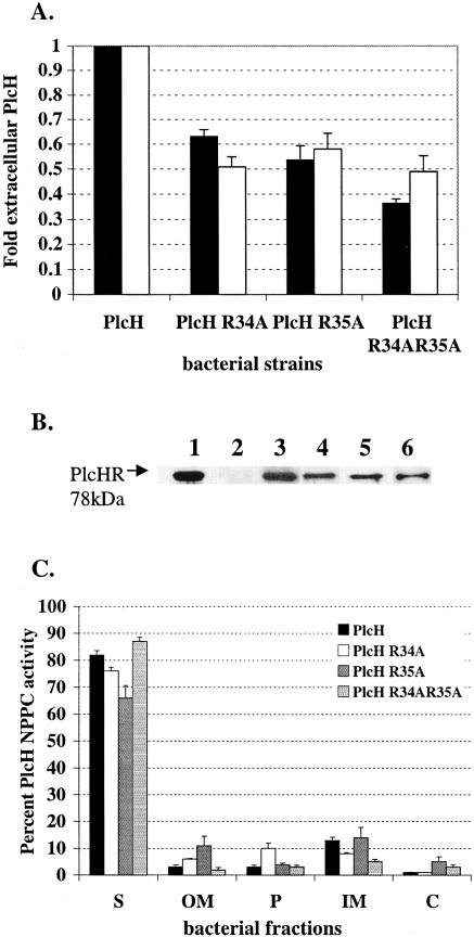 FIG. 4.