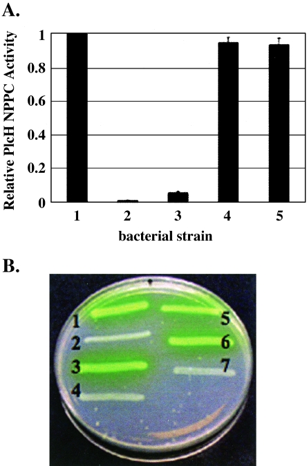 FIG. 6.