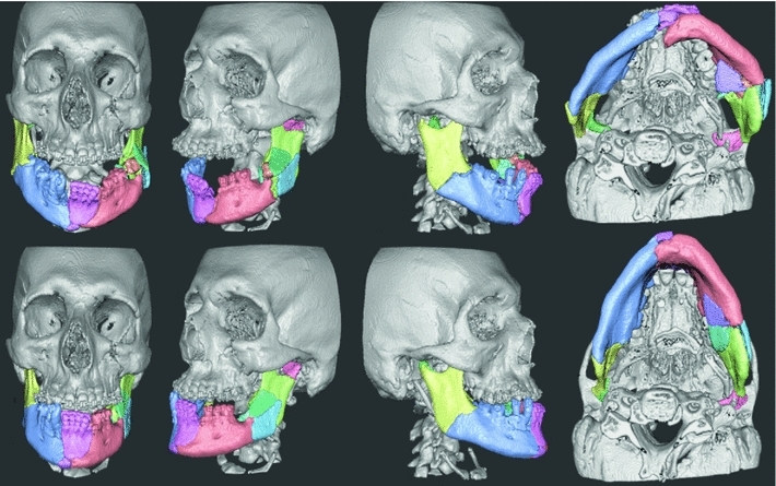 Fig. 6