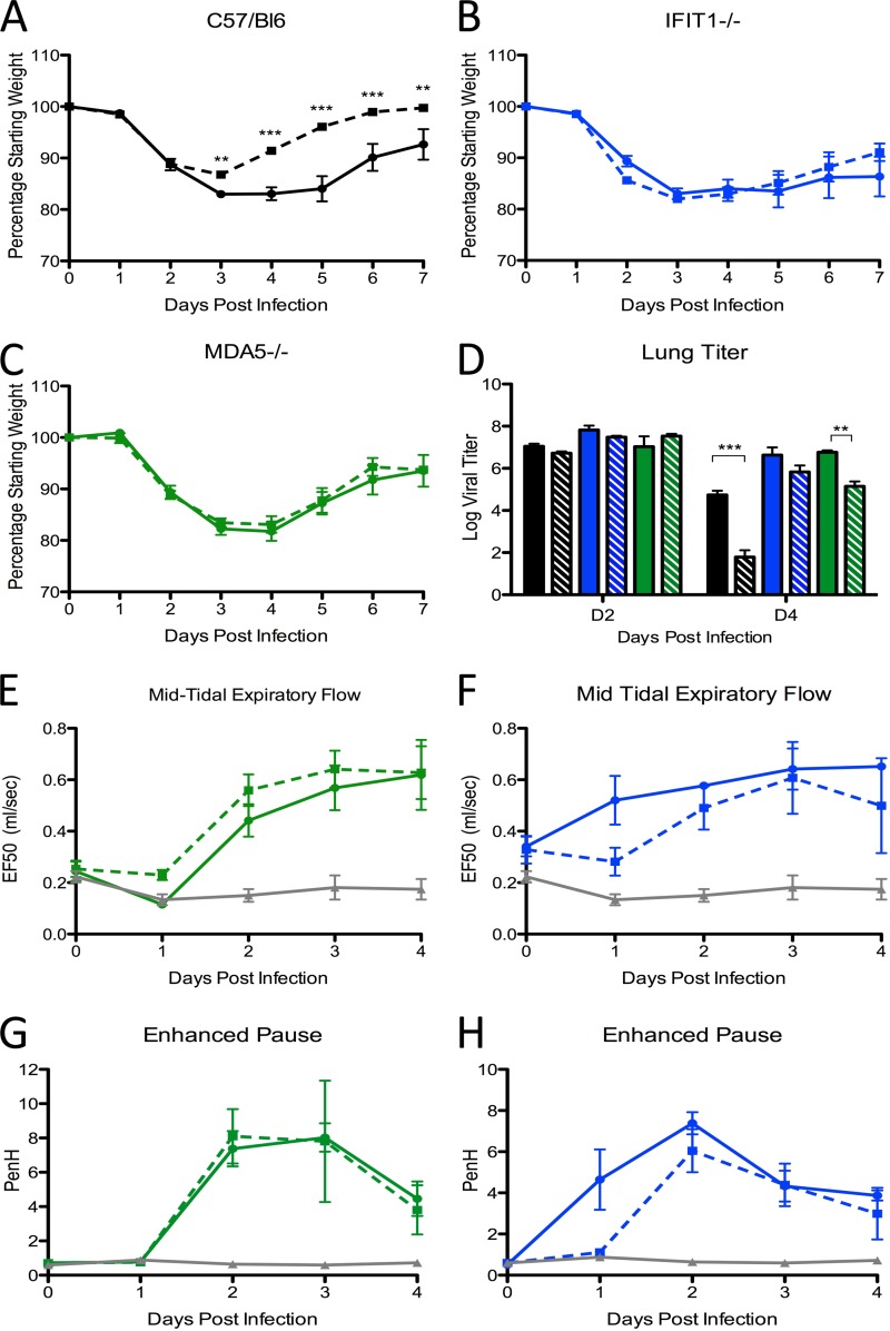 FIG 6