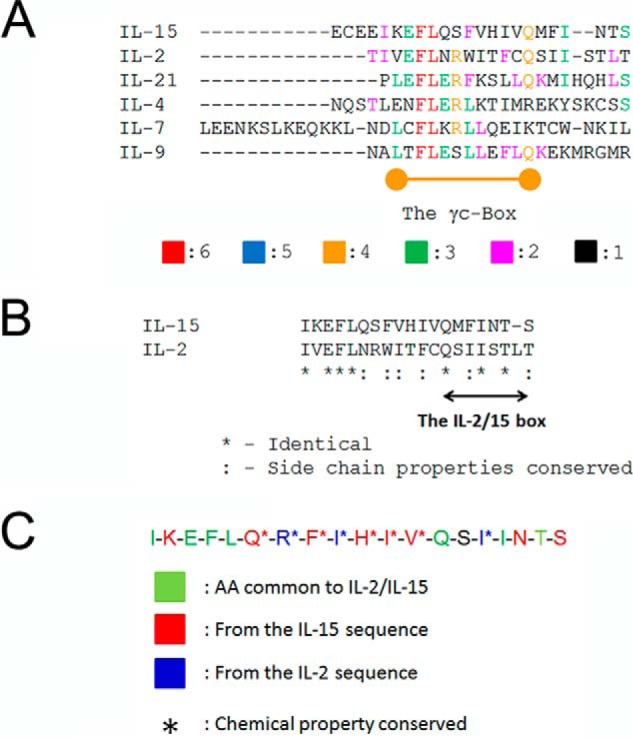 FIGURE 1.