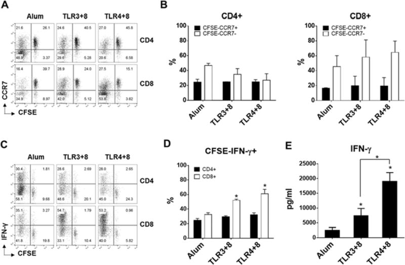 Fig 6